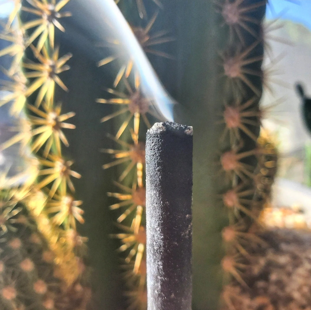 Passionfruit Hand-rolled Charcoal Incense Sticks