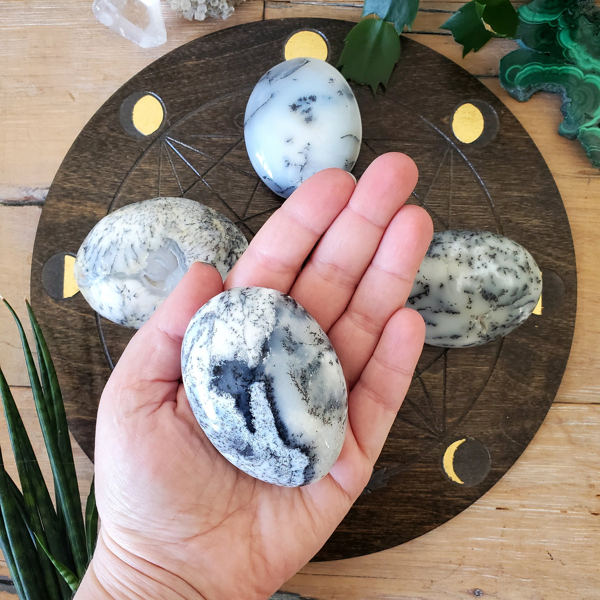 Dendritic Opal Palmstones