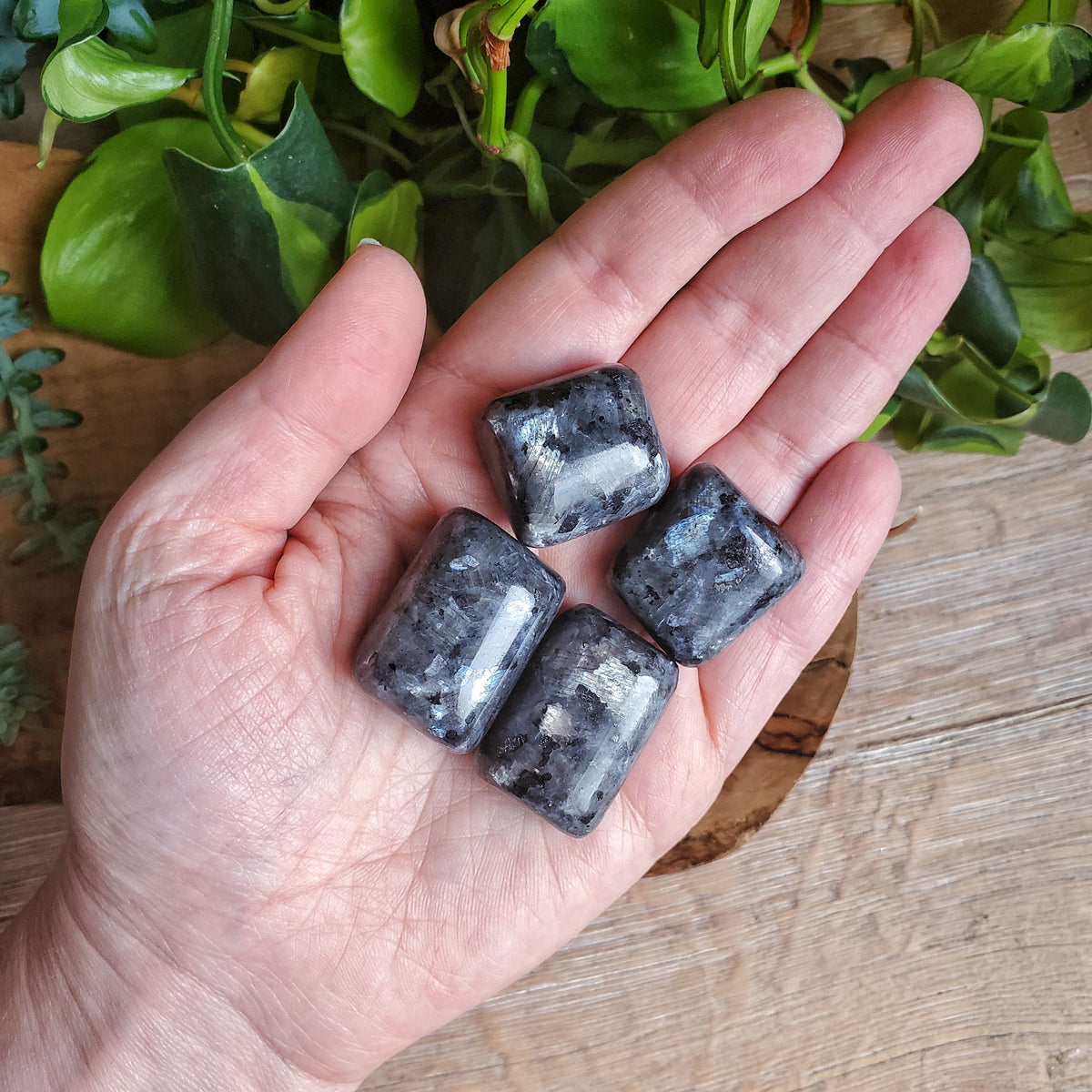 Larvikite Tumbled Stone - LG