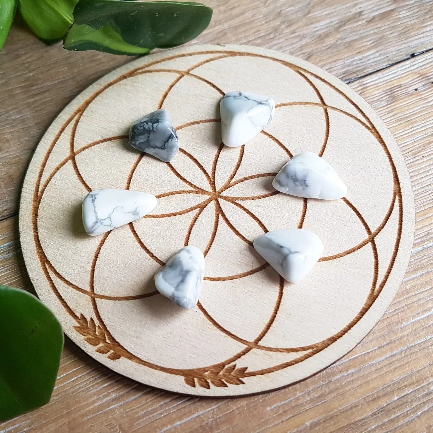Howlite - Tumbled - 6 pack