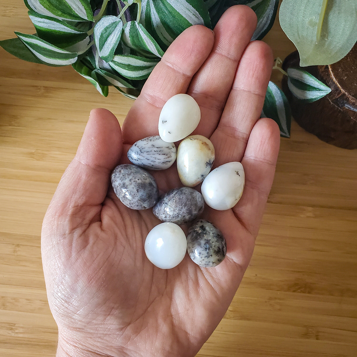 Dendritic Opal Mini-Egg