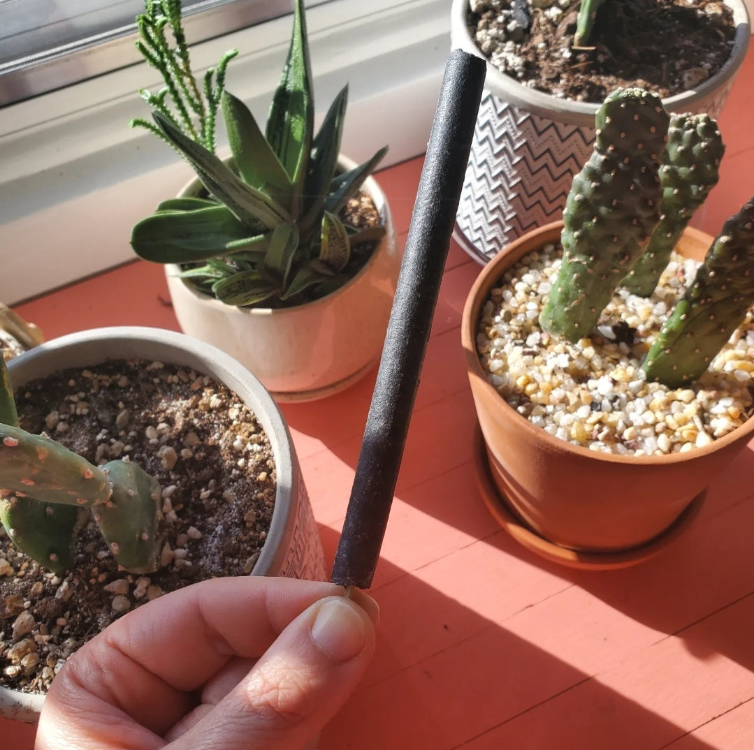 Passionfruit Hand-rolled Charcoal Incense Sticks