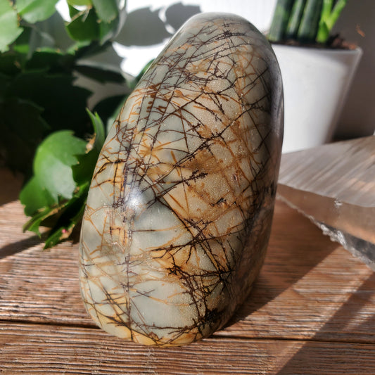 Picasso jasper freeform, abstract blue and grey painterly pattern