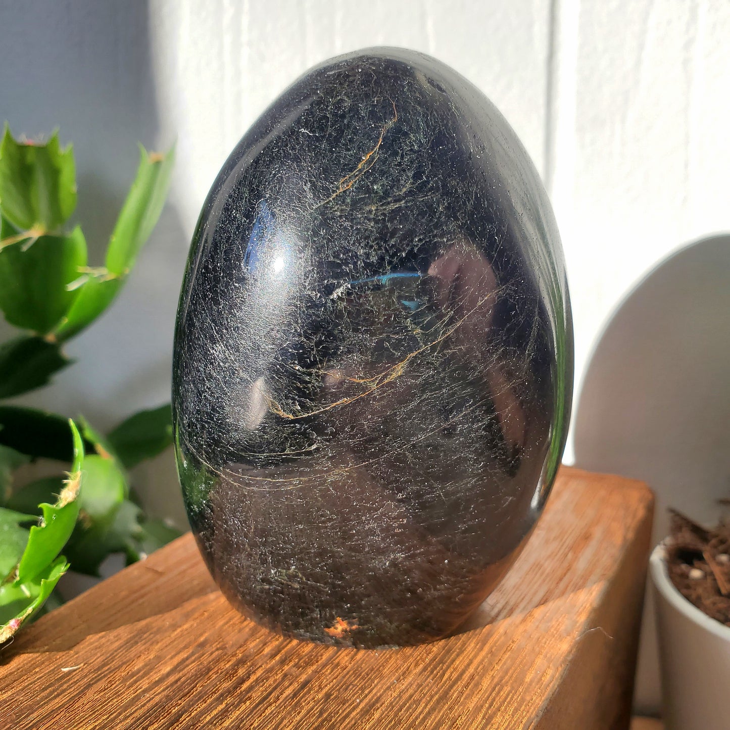 Black Tourmaline Freeform #2