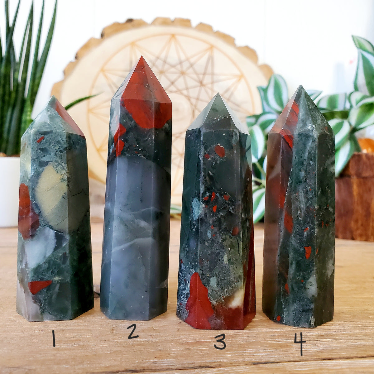 Seftonite (African Bloodstone) Points