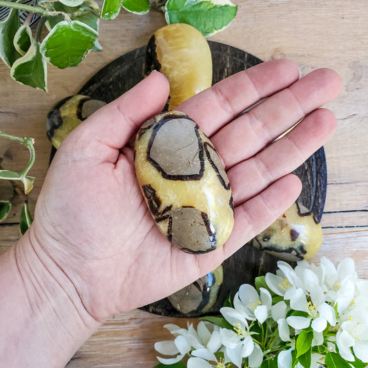 Septarian palmstone, piece 1, brown grey and yellow nodule pattern