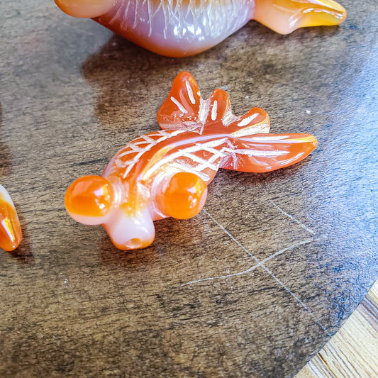 Carnelian Goldfish - small