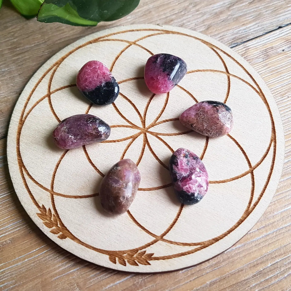 Rhodonite - Tumbled - 6 pack