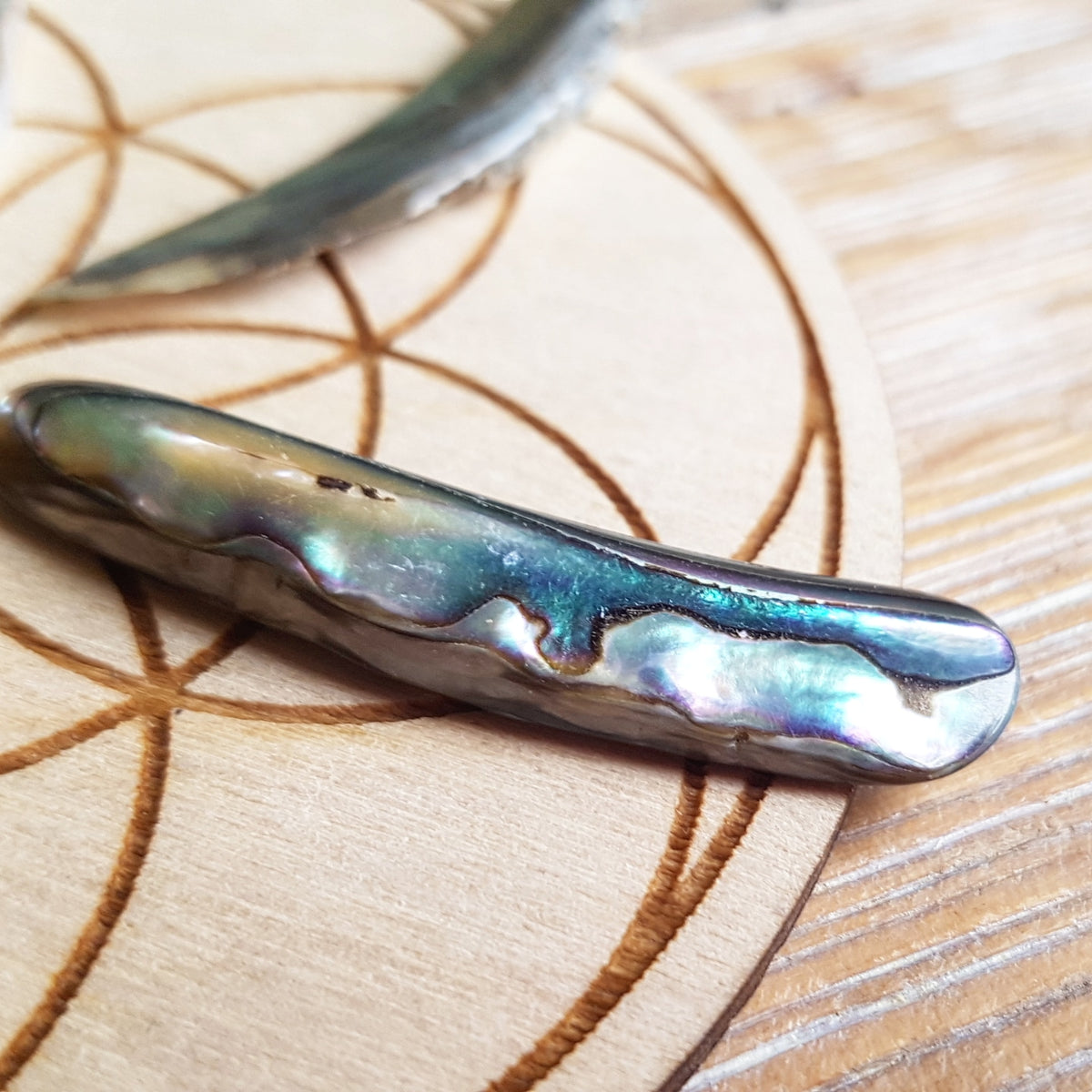 Tumbled abalone shell close-up showing iridescence