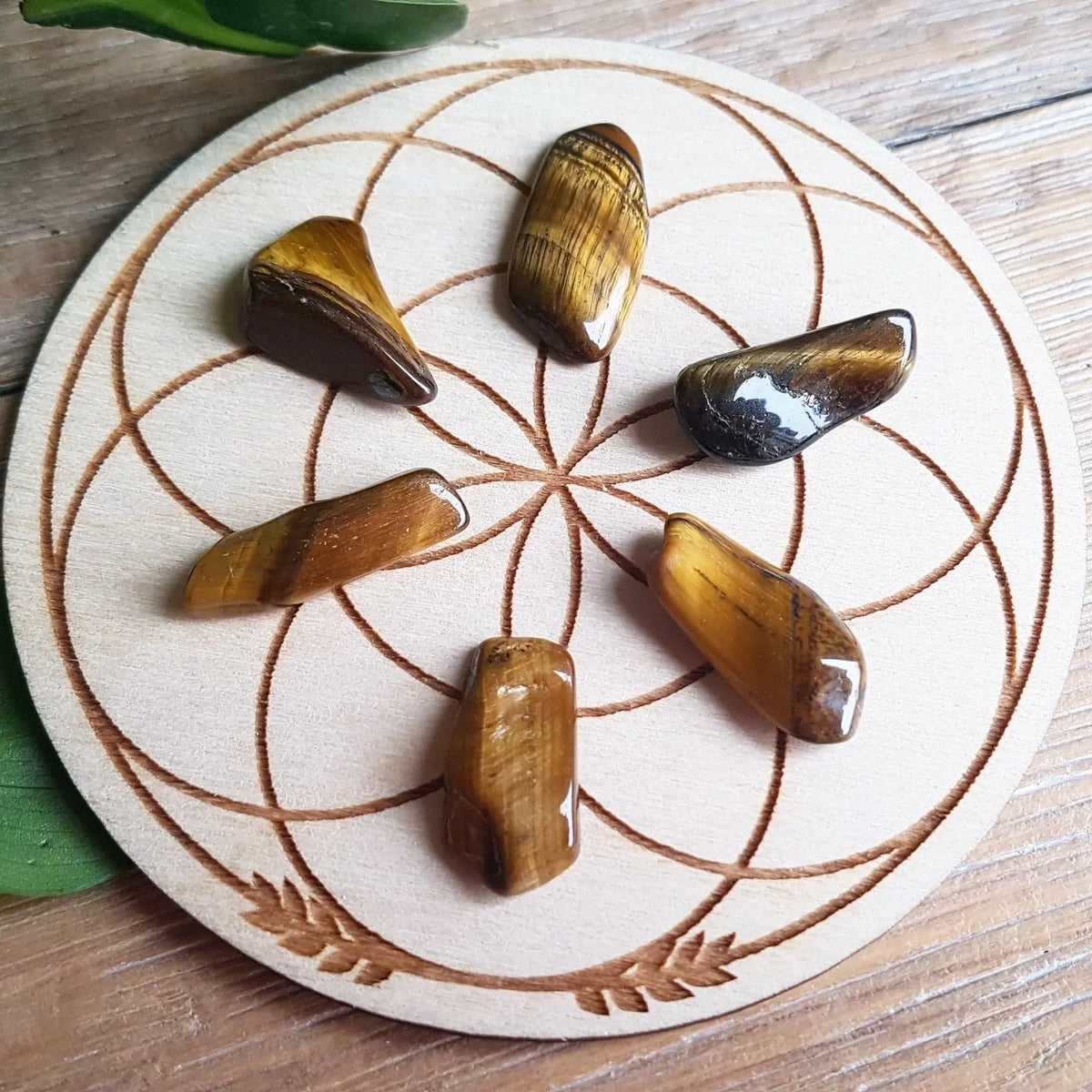 Tumbled tiger eye stones, golden-brown chatoyant crystal