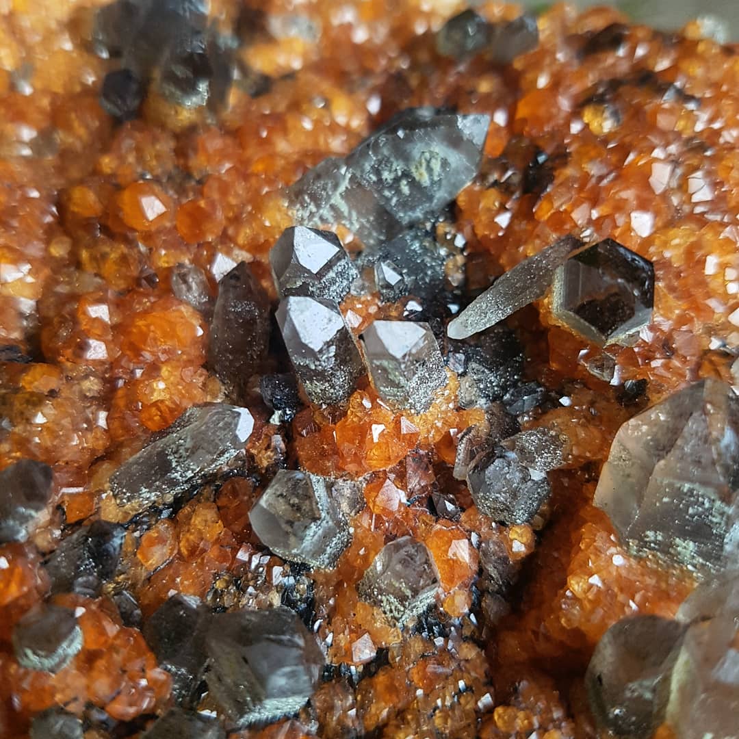 Spessartine Garnet and Smokey Quartz Plate XL - Raw