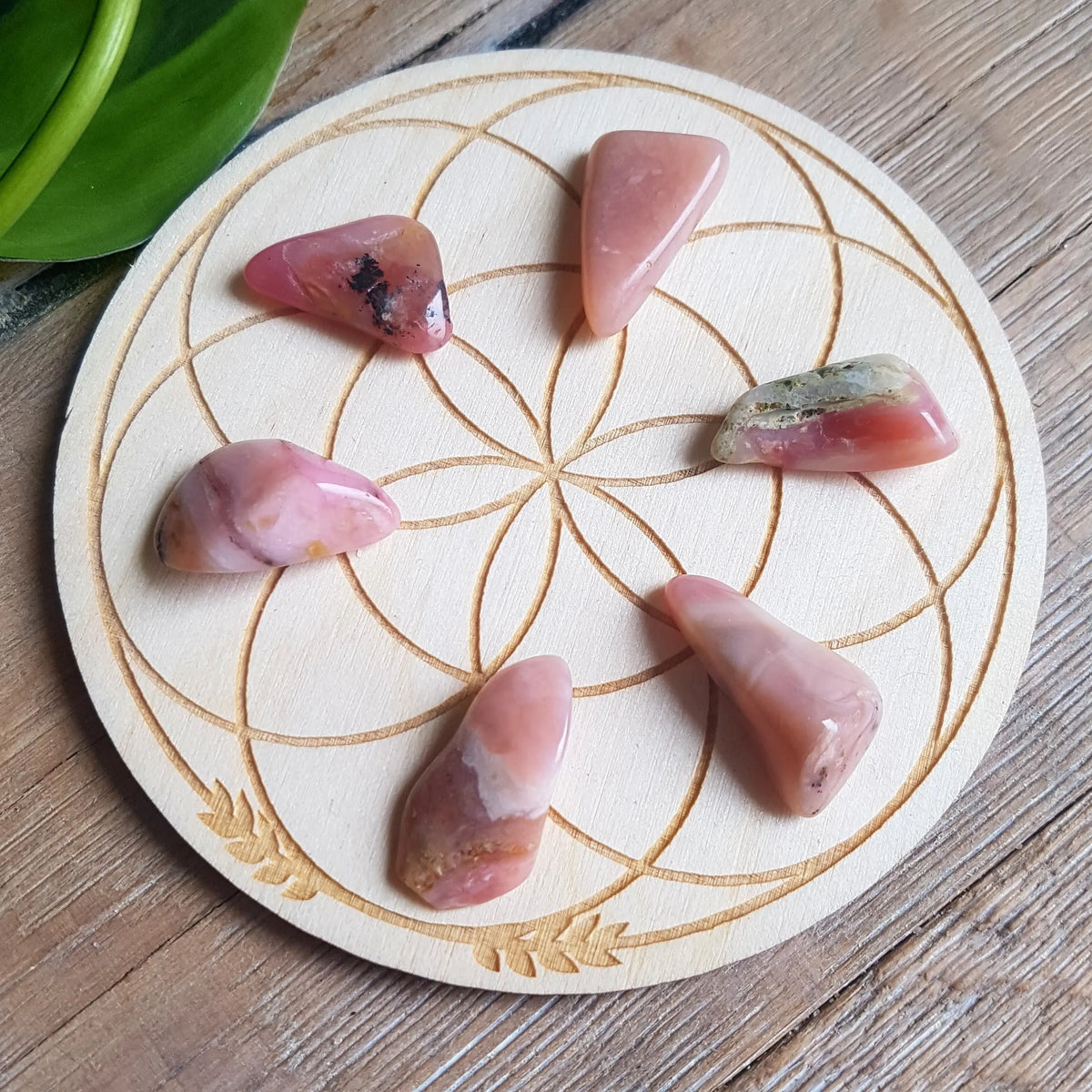 Pink Opal - Tumbled - 6 pack