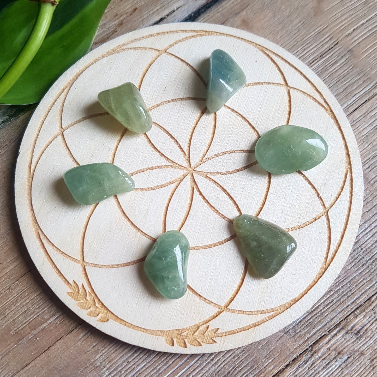 Green Beryl - tumbled - 6 pack