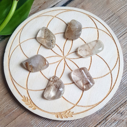 Tumbled rutilated quartz, golden needles in clear crystal