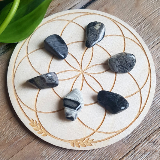 Tumbled silver leaf jasper, metallic silver-grey pattern on black